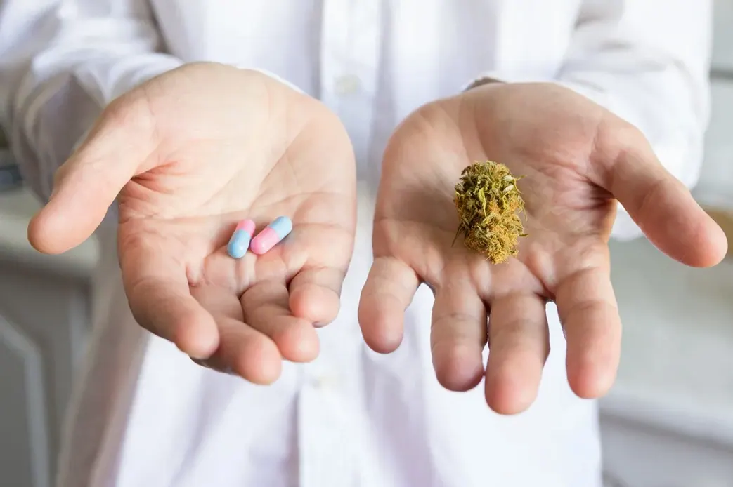 Comunidad de comercios de CBD en España - ACDC